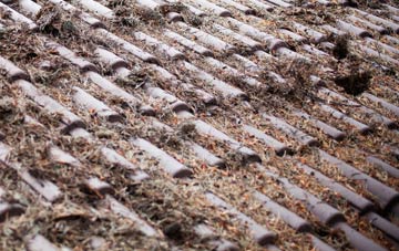 Trecynon roof cleaning companies