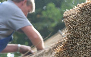 professional Trecynon thatchers