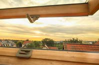 rated Trecynon roof window companies